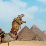4 Day: Cairo Short Break - The Value of This Tour