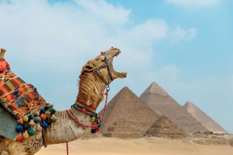 4 Day: Cairo Short Break - The Value of This Tour
