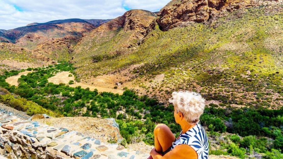 4 Day Cape Town Essential Tour & Big 5 Safari At Inverdoorn - Historical Insights & Botanical Beauty: Day 2