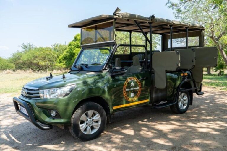 4 Day Dumela Tented Camp Safari - The Itinerary Breakdown: What to Expect from Each Day