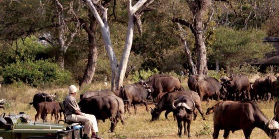 4 Day Kruger National Park Private Safari From Johannesburg - What Makes This Safari Stand Out?