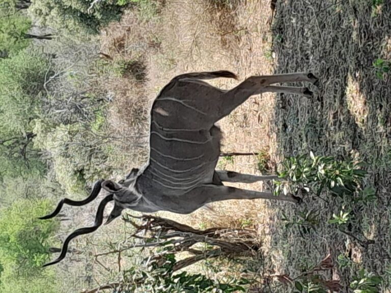4 Day Kruger Park Safari and Panorama Route - What the Tour Includes and Why It Matters