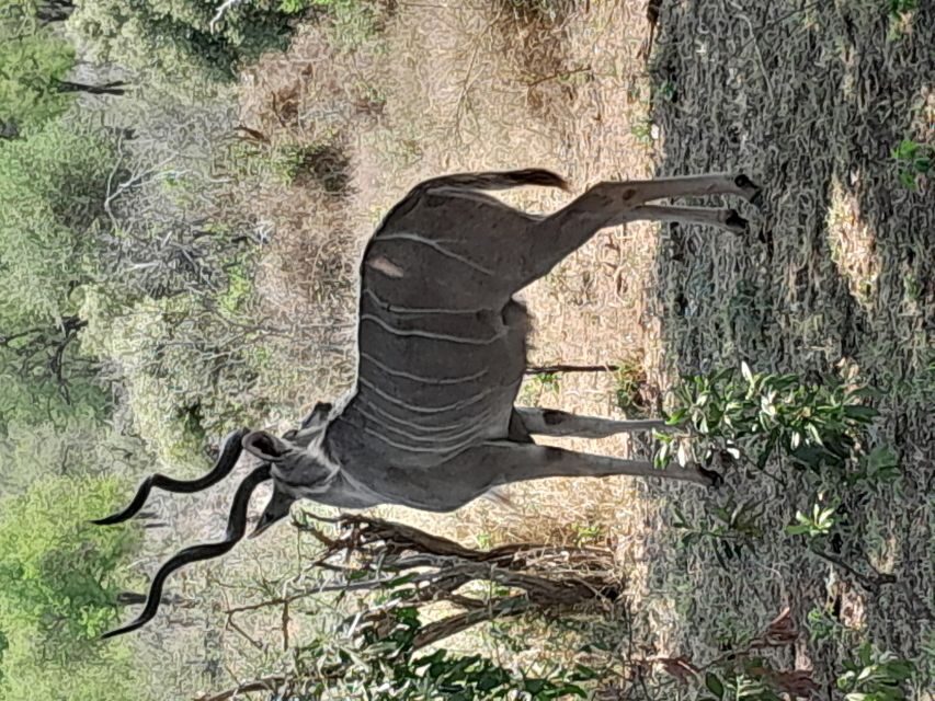4 Day Kruger Park Safari and Panorama Route - What the Tour Includes and Why It Matters