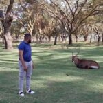 4-Day Maasai Mara, Nakuru National park , and L. Naivasha. - The Experience in Detail