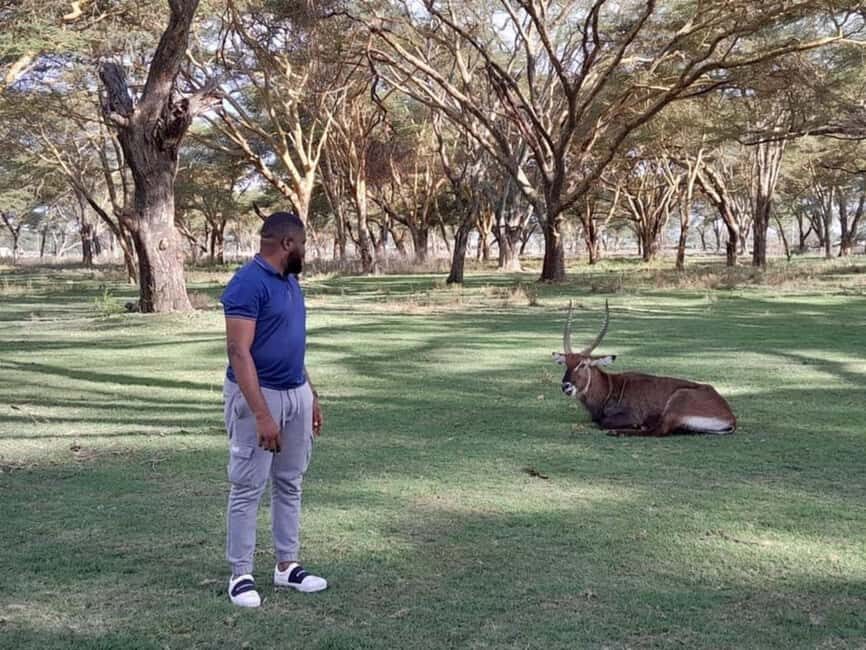 4-Day Maasai Mara, Nakuru National park , and L. Naivasha. - The Experience in Detail