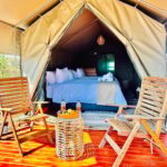 4-Day Pilanesberg Tlou En-Suite Tented Safari - Food & Cultural Flavor