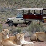 4-Day Private Highlights Tour & Overnight Big5 Aquila Safari - Exploring the Itinerary in Detail