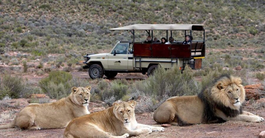 4-Day Private Highlights Tour & Overnight Big5 Aquila Safari - Exploring the Itinerary in Detail