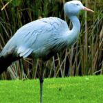 4 Day Small Group Garden Route Tour From Cape Town - Who Will Love This Tour?