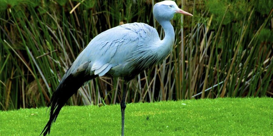 4 Day Small Group Garden Route Tour From Cape Town - Who Will Love This Tour?