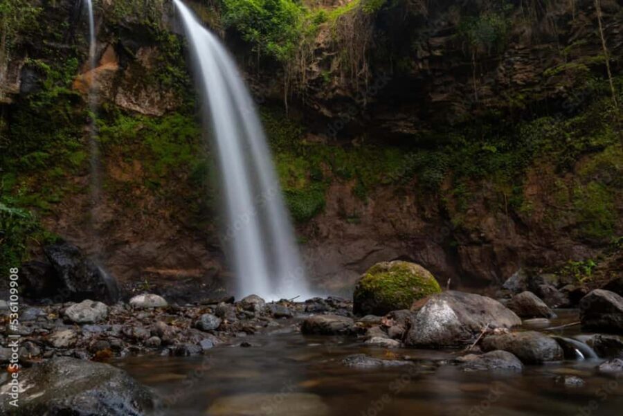 4-Day Southern Tanzania Udzungwa and Mikumi NP - A Closer Look at the Itinerary