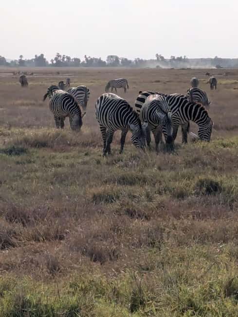 4-Day Tsavo East, Amboseli & Taita Salt From Diani - An In-Depth Look at the 4-Day Kenya Safari