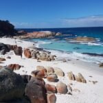 4 Day Wild Tasmania Tour / Wildlife, Nature, Hiking / Inc. Accom - What Makes This Tour Truly Valuable?