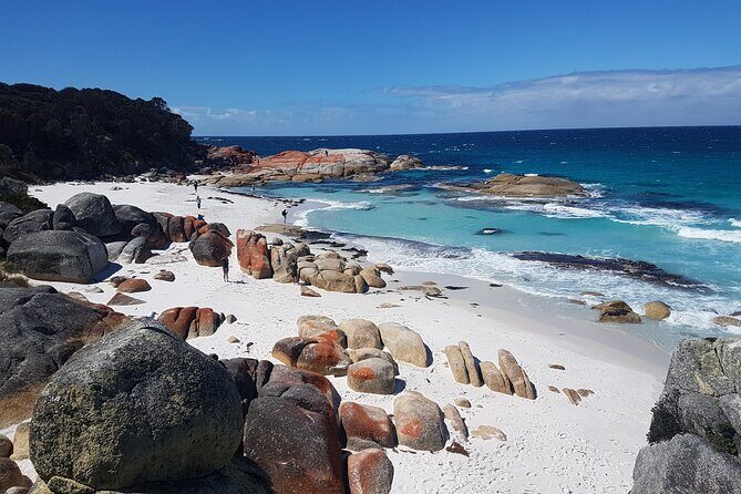4 Day Wild Tasmania Tour / Wildlife, Nature, Hiking / Inc. Accom - What Makes This Tour Truly Valuable?
