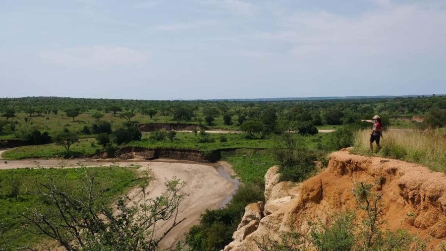 4 Days Exclusive Group Camping Safari - Summary