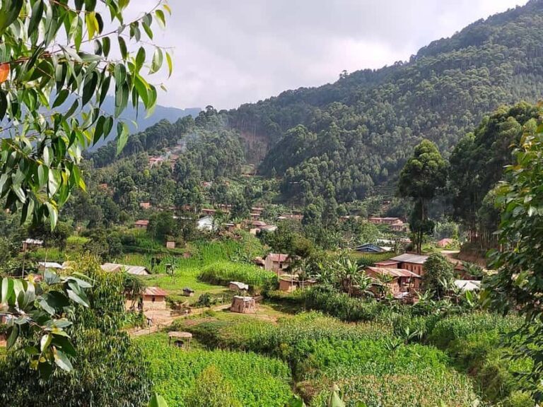 4 Days Gorilla and Volcanoes in Kisoro - Exploring the Itinerary
