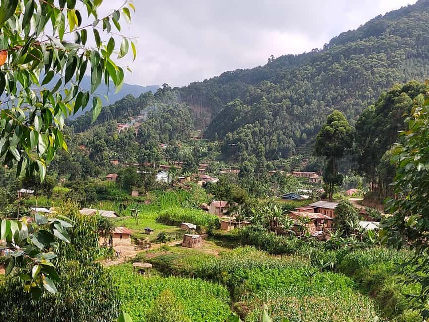 4 Days Gorilla and Volcanoes in Kisoro - Exploring the Itinerary