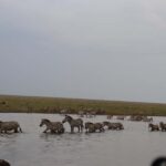 4  Days Group Tour Tarangire, Serengeti & Ngorongoro Crater - Analyzing the Itinerary