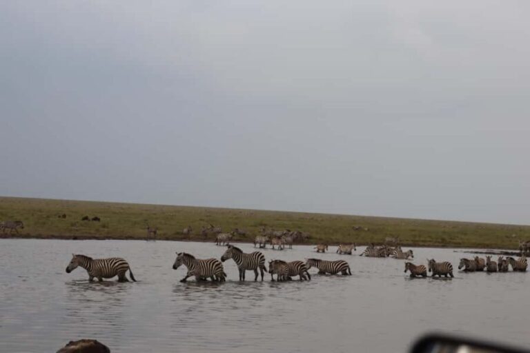 4 Days Group Tour Tarangire, Serengeti & Ngorongoro Crater - Analyzing the Itinerary