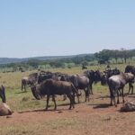 4 Days in the African Wilderness, A Safari to Remember - What Sets This Safari Apart?