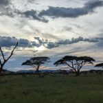 4 Days Join-In Safari: Big Five & Great Plains - What’s Included & What to Consider