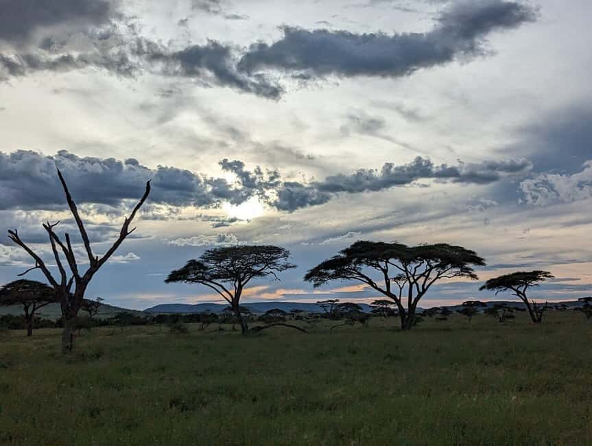4 Days Join-In Safari: Big Five & Great Plains - What’s Included & What to Consider
