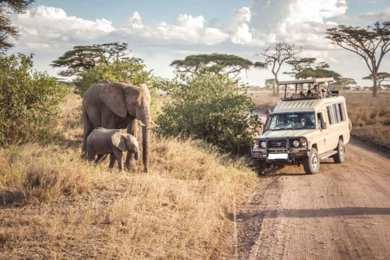 4 Days Masai Mara and Lake Nakuru Budget Safari on 4x4 Jeep - Day-by-Day Breakdown of the Safari