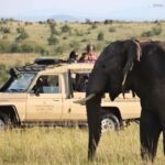 4 Days Masai Mara and Lake Nakuru Lodge - 4X4 Jeep Safari - Transport, Accommodations, and Practicalities