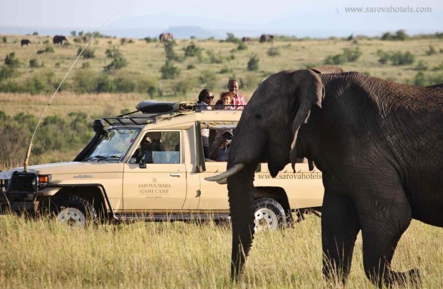 4 Days Masai Mara and Lake Nakuru Lodge - 4X4 Jeep Safari - Transport, Accommodations, and Practicalities