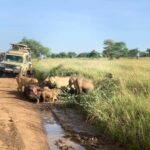 4 Days Masai Mara Group Joining Safari Tour 2024, 2025 20226 - Detailed Breakdown of the Itinerary and What Makes Each Stop Special