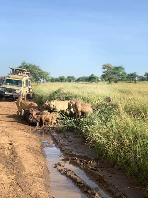 4 Days Masai Mara Group Joining Safari Tour 2024, 2025 20226 - Detailed Breakdown of the Itinerary and What Makes Each Stop Special