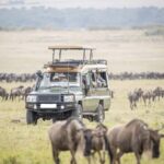 4 Days Masai Mara National Reserve Luxury Lodge Safari - An Overview of What to Expect