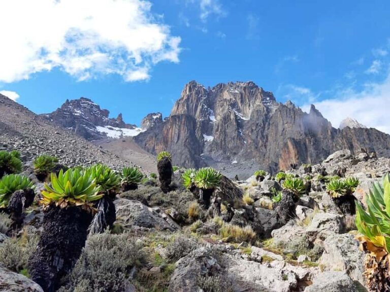 4 Days Mt Kenya Climbing & Hiking Expeditions: Sirimon Route - FAQs