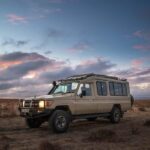 4 Days Private Luxury Safari to Serengeti and Ngorongoro - Practical Details and Considerations