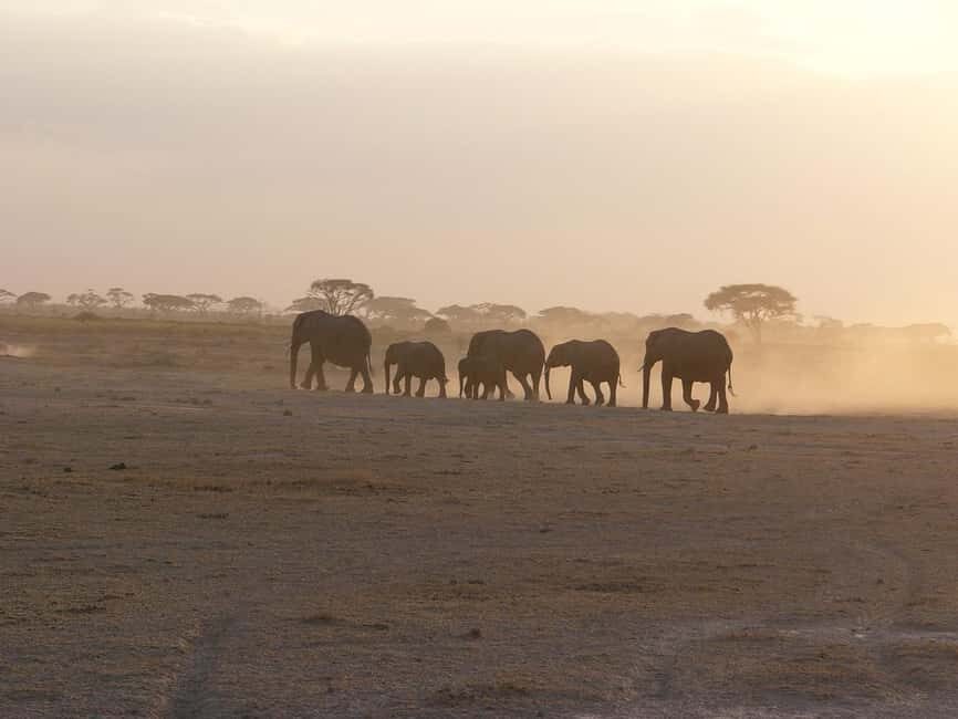 4 Days Safari to Tsavo East, Amboseli and Tsavo West Parks - The Value of This Safari