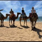 4 Hours Deluxe Guided Tour of Tangier + A tour with camels - Who Is This Tour Best Suited For?
