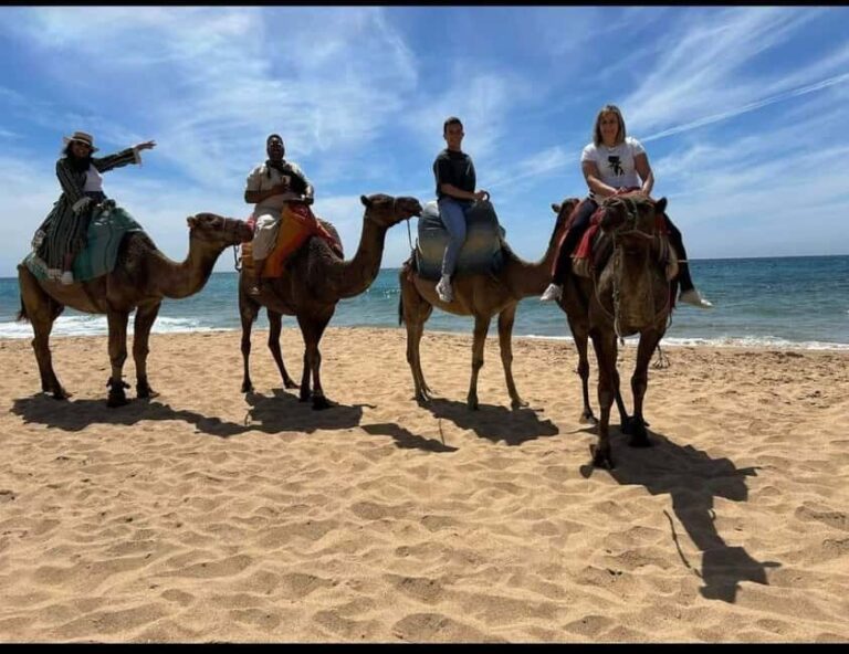 4 Hours Deluxe Guided Tour of Tangier + A tour with camels - Who Is This Tour Best Suited For?