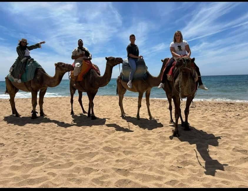 4 Hours Deluxe Guided Tour of Tangier + A tour with camels - Who Is This Tour Best Suited For?