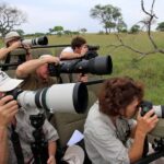 4Days Masai Mara and Lake Nakuru Safari on 4x4 Land Cruiser - What Makes This Safari Stand Out?