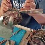 4x4 Tour - Craft and Agritourism Culture in Raiatea - Why You Should Book This Tour