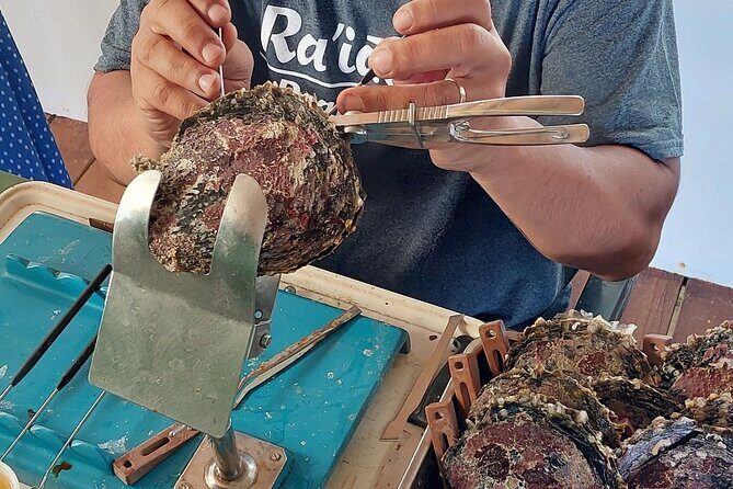 4x4 Tour - Craft and Agritourism Culture in Raiatea - Why You Should Book This Tour