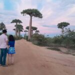 5-Day from Tana: Tsiribihina River Canoe & Baobab avenue - What’s Included and What’s Not