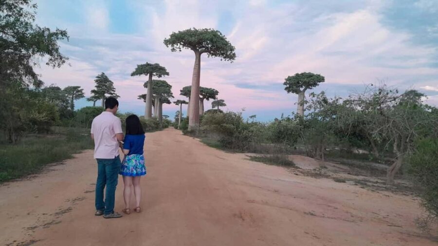 5-Day from Tana: Tsiribihina River Canoe & Baobab avenue - What’s Included and What’s Not