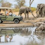 5 Day Kenya Adventure Safari Package - An In-Depth Look at the 5-Day Kenya Safari