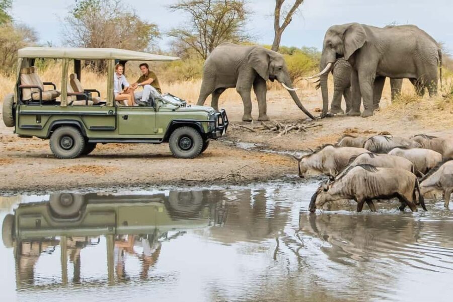 5 Day Kenya Adventure Safari Package - An In-Depth Look at the 5-Day Kenya Safari