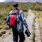 5 Day Kilimanjaro Marangu route - Day 2: Mandara Hut to Horombo Hut – Ascending into the Moorlands
