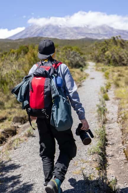 5 Day Kilimanjaro Marangu route - Day 2: Mandara Hut to Horombo Hut – Ascending into the Moorlands