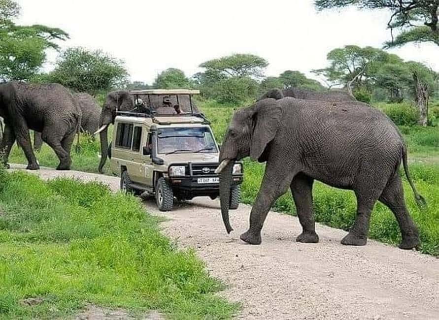 5-Day Safari to Tarangire, Serengeti, and Ngorongoro crater - Transportation & Accommodation