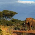 5 Day Small Group Garden Route Tour From Cape Town - What Makes This Tour Stand Out?
