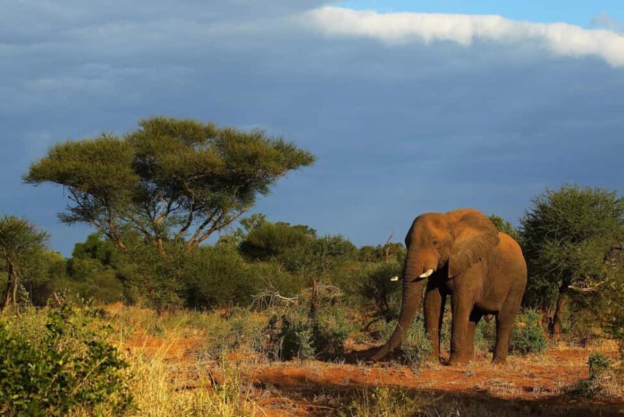 5 Day Small Group Garden Route Tour From Cape Town - What Makes This Tour Stand Out?